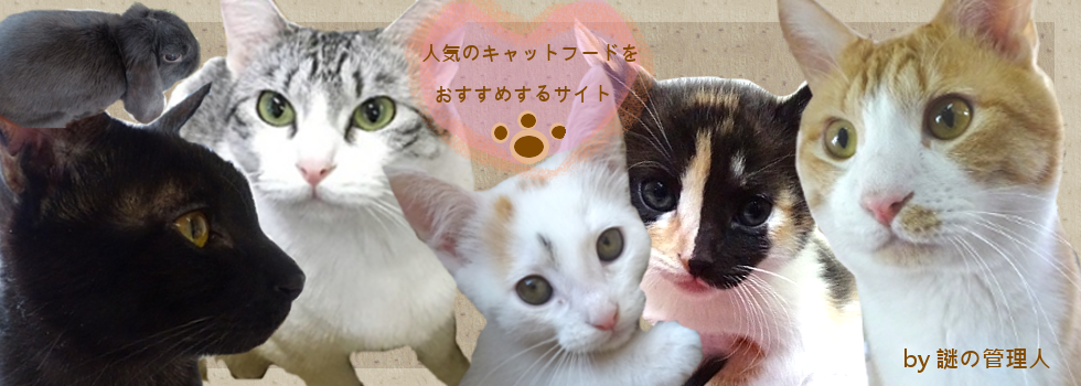 人気のキャットフードをおすすめするサイトの謎の管理人